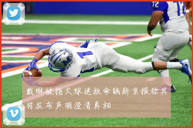 戴琳被指欠球迷救命钱新京报称其将发布声明澄清真相
