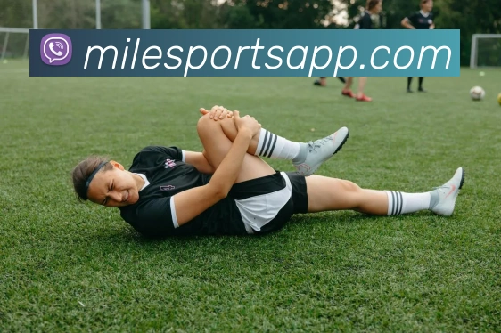 App Interface Preview